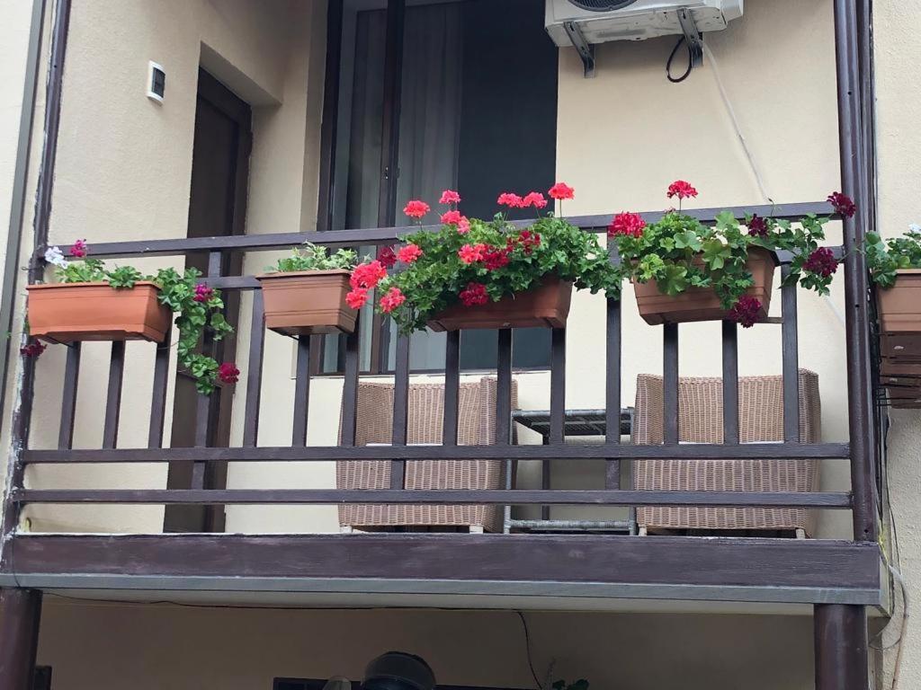 Tinikos Guest House Telavi Kültér fotó