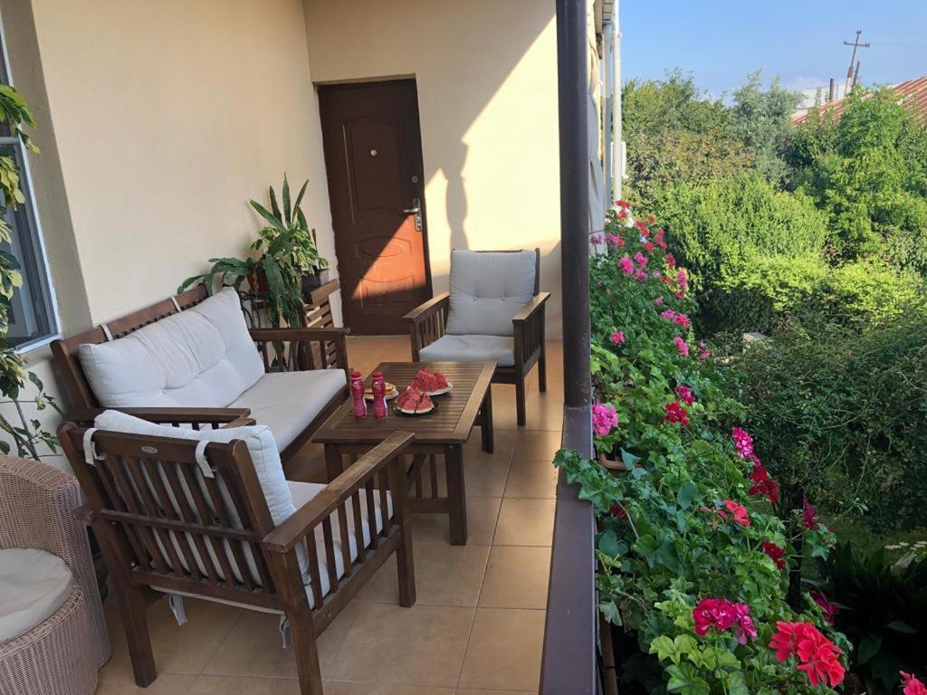 Tinikos Guest House Telavi Kültér fotó