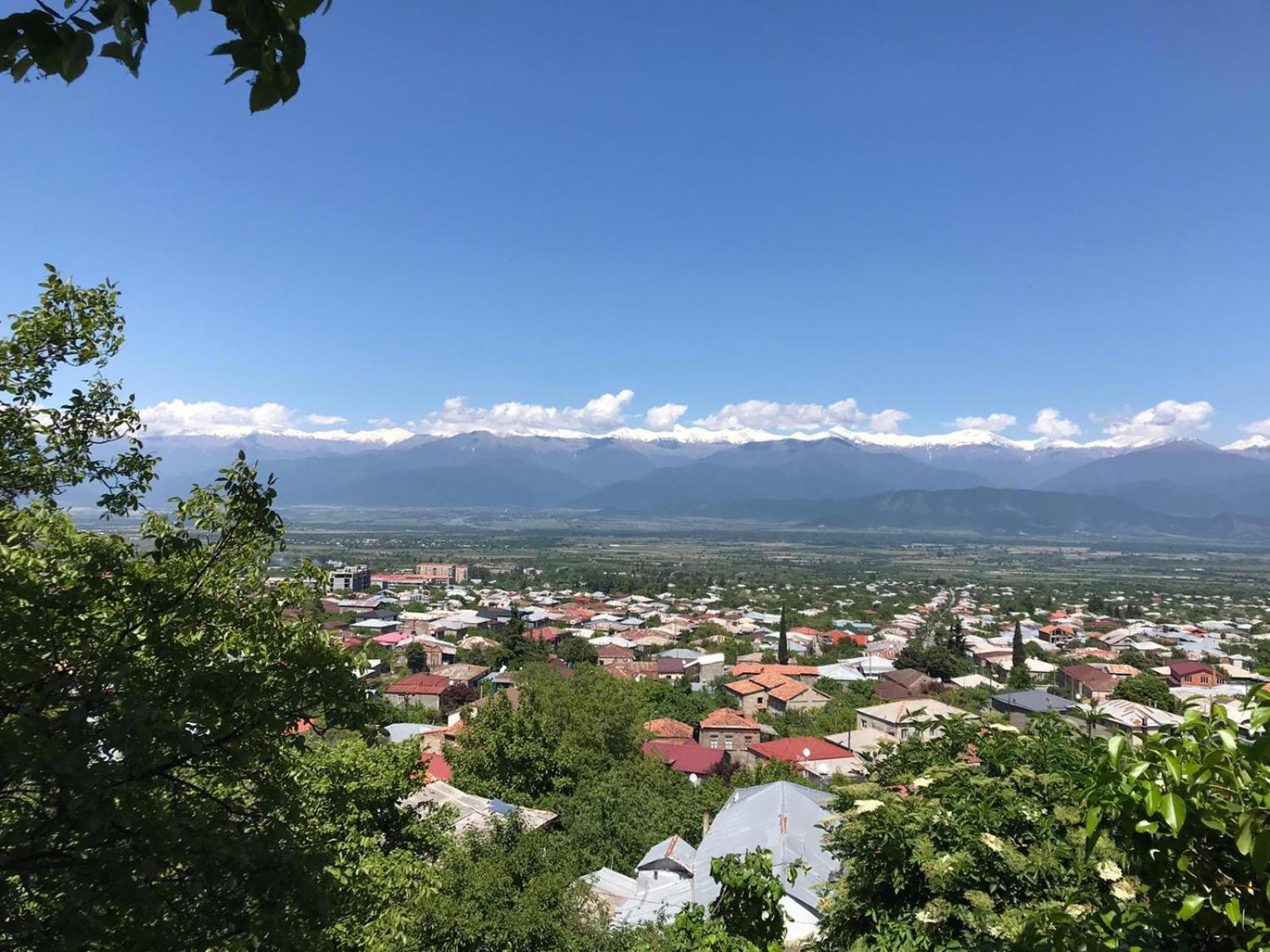 Tinikos Guest House Telavi Kültér fotó