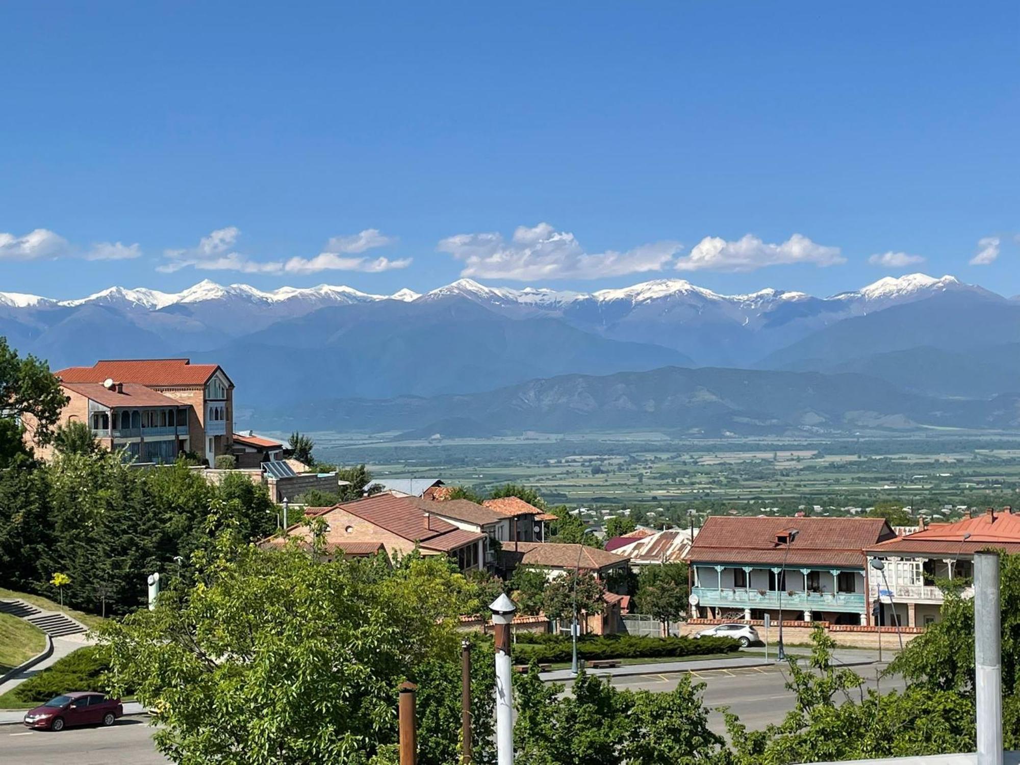 Tinikos Guest House Telavi Kültér fotó