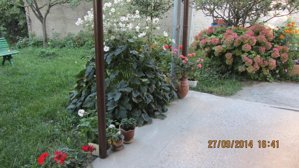 Tinikos Guest House Telavi Kültér fotó