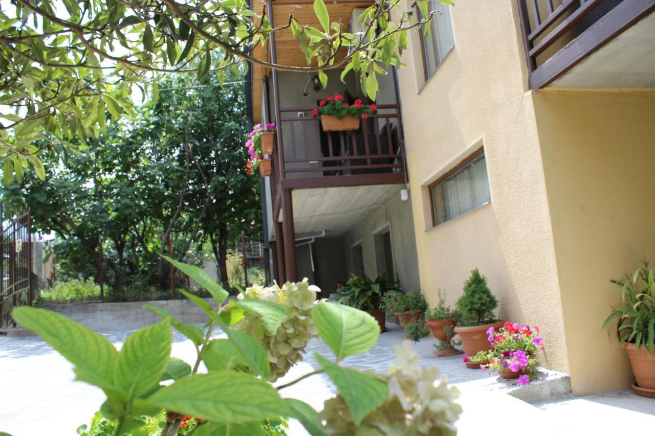 Tinikos Guest House Telavi Kültér fotó