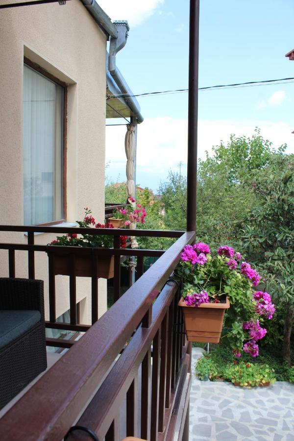 Tinikos Guest House Telavi Kültér fotó