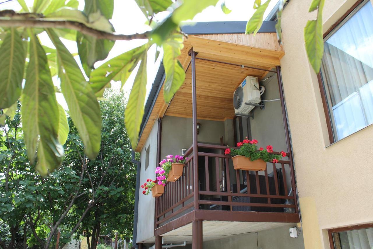 Tinikos Guest House Telavi Kültér fotó